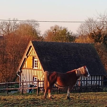 Gite A La Petite Bretonniere Saint-Pierre-Des-Ifs  Luaran gambar