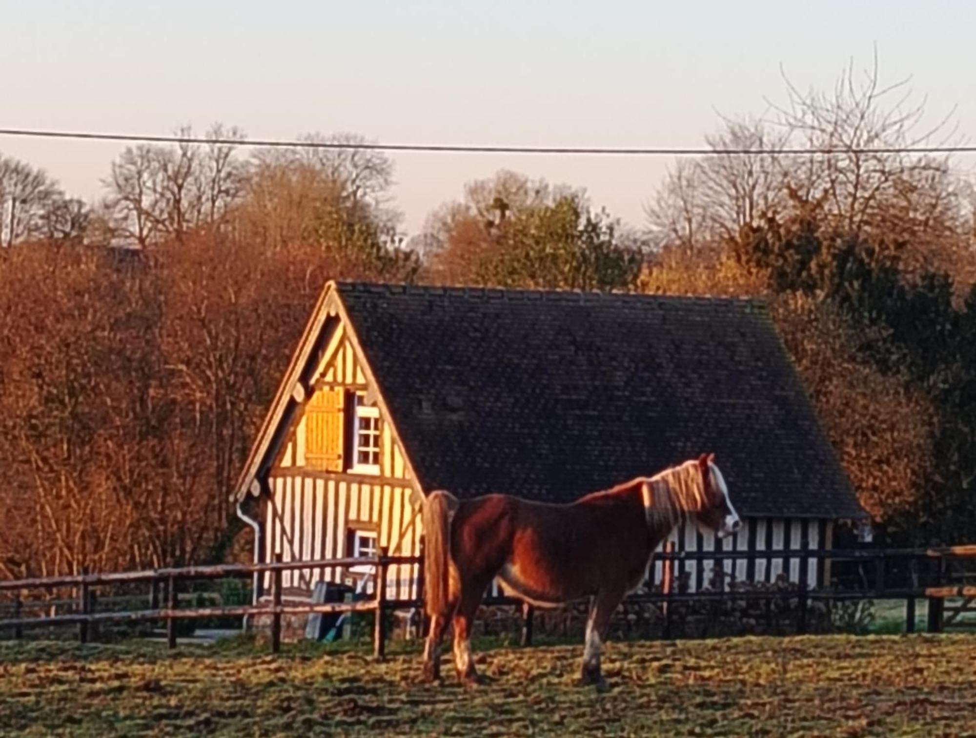 Gite A La Petite Bretonniere Saint-Pierre-Des-Ifs  Luaran gambar